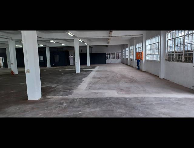 1,000M² WAREHOUSE TO LET IN NEW GERMANY